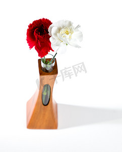 柚木花瓶中的红色和白色喷雾康乃馨