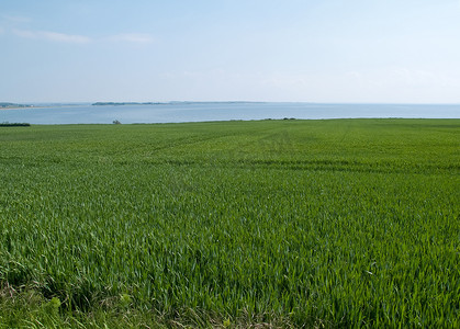 春夏新风尚优惠券摄影照片_春夏绿野海背景