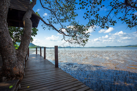 泰国尖竹汶府森林红树林和大海地平线上的桥梁木步行道。