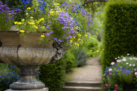 英国花园摄影照片_英国乡村花园