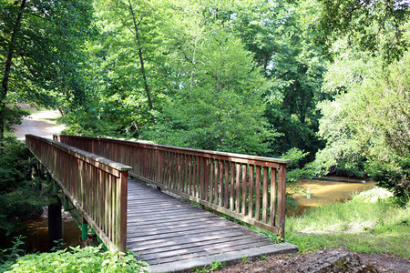 微风树叶摄影照片_小溪上的木桥