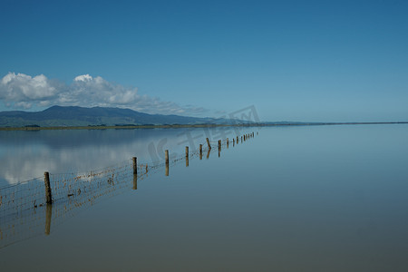 平静的湖面。