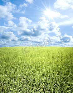 田野摸鱼摄影照片_绿色的田野和天空