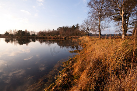 Dwingelderveld 平静的小野湖