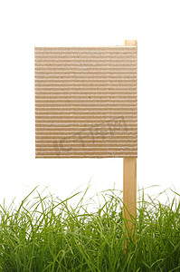 纸板标志与孤立在白色背景上的草