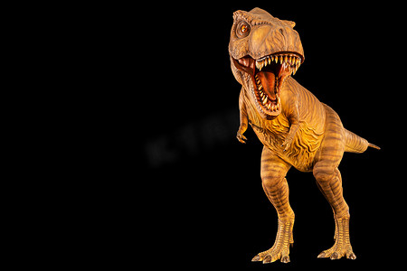 全部复制摄影照片_霸王龙 (T-rex) 正在行走，张开嘴巴，在左侧复制空间。