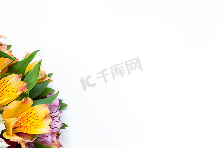 星历摄影照片_五颜六色的花六出在白色背景上的花束。