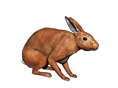 蹦蹦跳跳兔子摄影照片_蹦蹦跳跳的耳朵松软的兔子