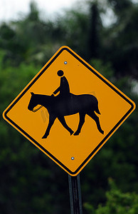 马横穿交通标志