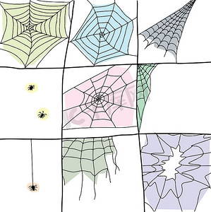 卡通蜘蛛网