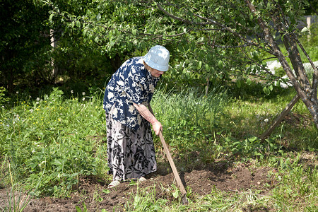 个人情节摄影照片_拿着菜刀的老妇人在花园里工作