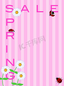 春天海报春季春天摄影照片_春季销售标志与雏菊花和瓢虫