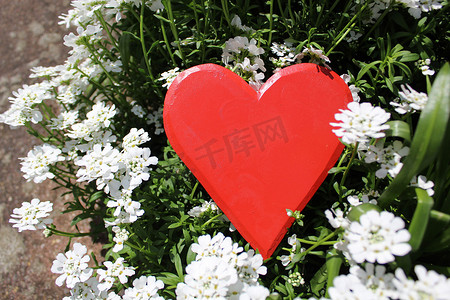 红色的心和春天的花朵