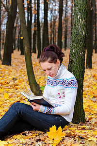 有魅力的女人在秋天的森林里读书