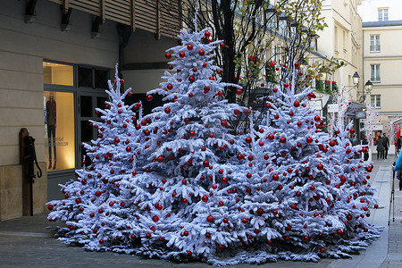 巴黎街头的圣诞树