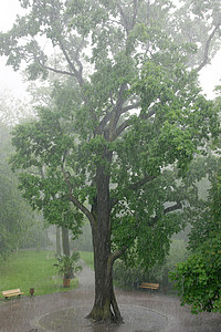 暴雨摄影照片_暴雨