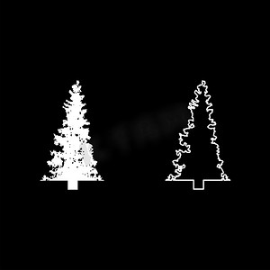 枞树圣诞针叶树云杉松林常绿树林针叶树剪影白色矢量插图固体轮廓样式图像