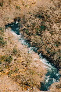 秋季森林中一条河流的特写，有复制空间