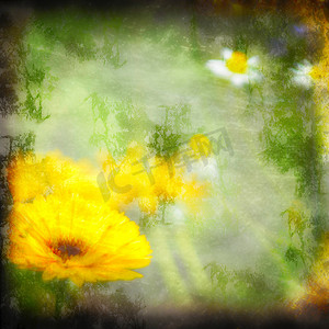 春天相册摄影照片_带纹理的 grunge 背景雏菊
