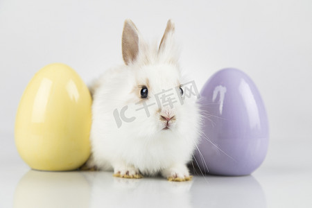 兔宝宝、兔子和复活节彩蛋