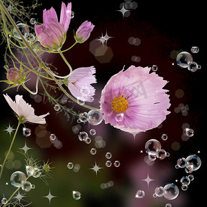 花朵气泡摄影照片_装饰花园春天的花朵