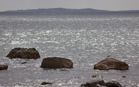 海洋球池摄影照片_从韦斯特波特马萨诸塞州海洋海鸥岩石的 Cuttyhunk 岛