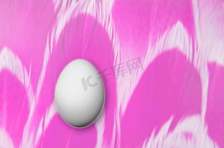 彩色羽毛背景 2 上的鸡蛋