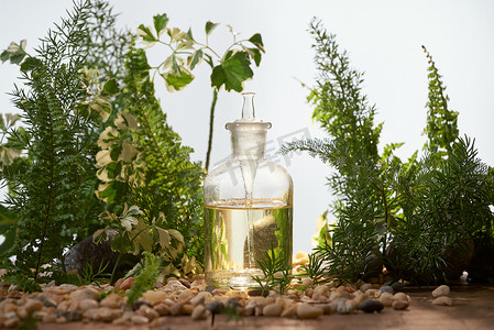 天然有机植物学和科学玻璃器皿，替代草药，天然护肤美容产品，研发理念。