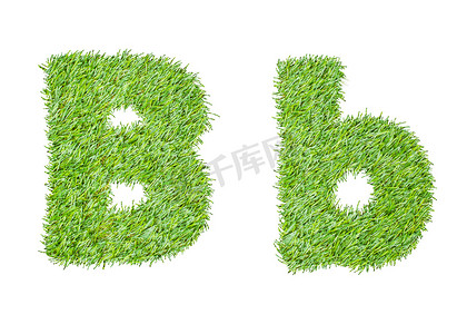 绿草的字母表。