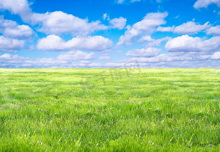 草地和天空