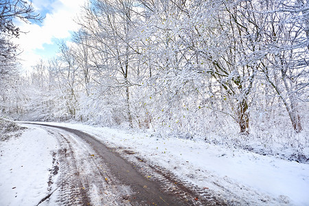 下雪的冬天的路