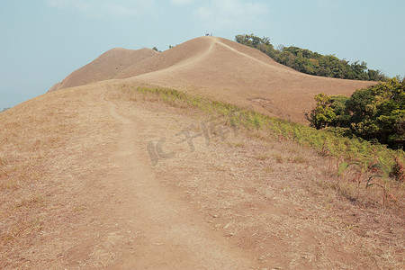 Monjong 山顶的黄​​色田野