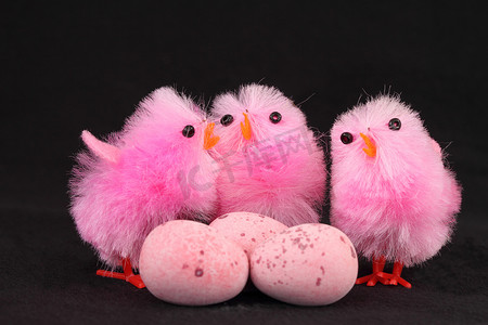 带蛋的粉红色复活节小鸡