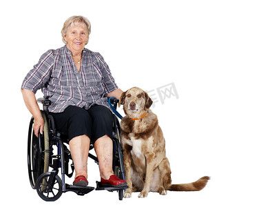 轮椅的资深妇女有狗的