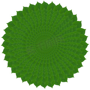 叶子的绿色圆圈