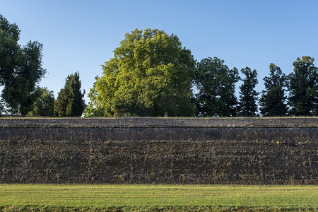 “意大利托斯卡纳的卢卡：沿路成排的树木和绿草，砖墙，古老的防御城墙”