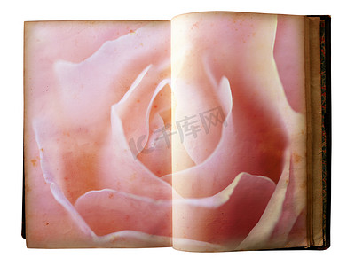 打开的旧书摄影照片_玫瑰印在一本打开的旧书的页面上