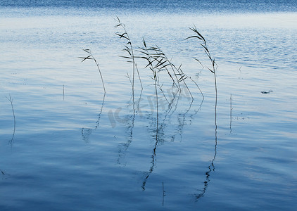 蓝色的海水