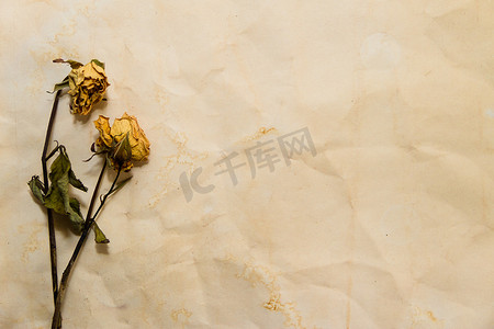 在旧纸上用枯萎的花朵打发时间的概念