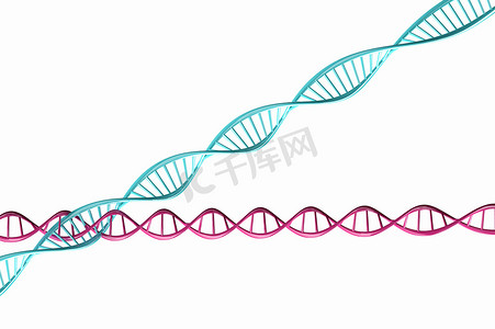 3d细胞模型摄影照片_“3d 渲染，分离的扭曲 DNA 链模型。”