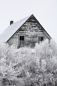 农场冬天摄影照片_冬天废弃的农舍