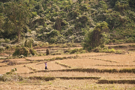 老挝琅南塔 12/24/2011 琅南塔是老挝西北部偏远的传统部落地区