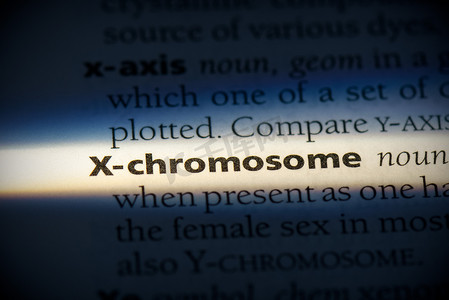 染色体摄影照片_x染色体