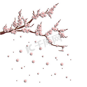 平面设计装饰摄影照片_树枝上的 3D 粉红色樱花。