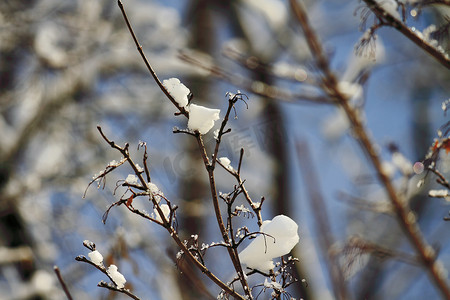 冬天好天气摄影照片_“雪景，俄罗斯的冬天”
