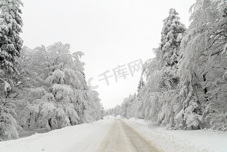 雪中​​的交通道路