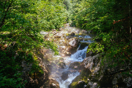 斯洛文尼亚渤兴湖周围的风景