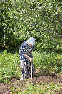 老妇人在花园里工作