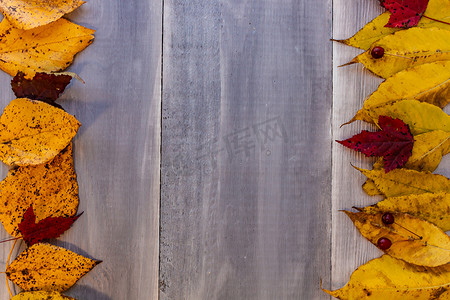 秋天木板背景摄影照片_木板上有彩色叶子的秋天背景