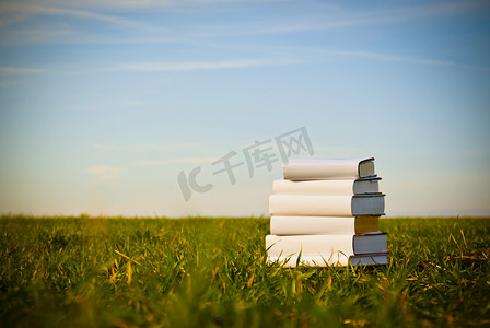 草地上的书